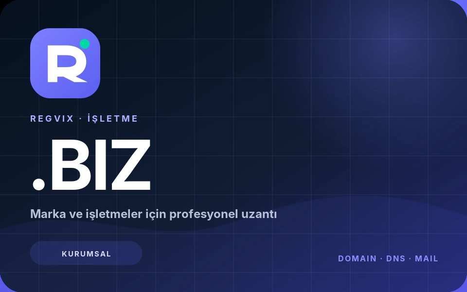 .biz domain