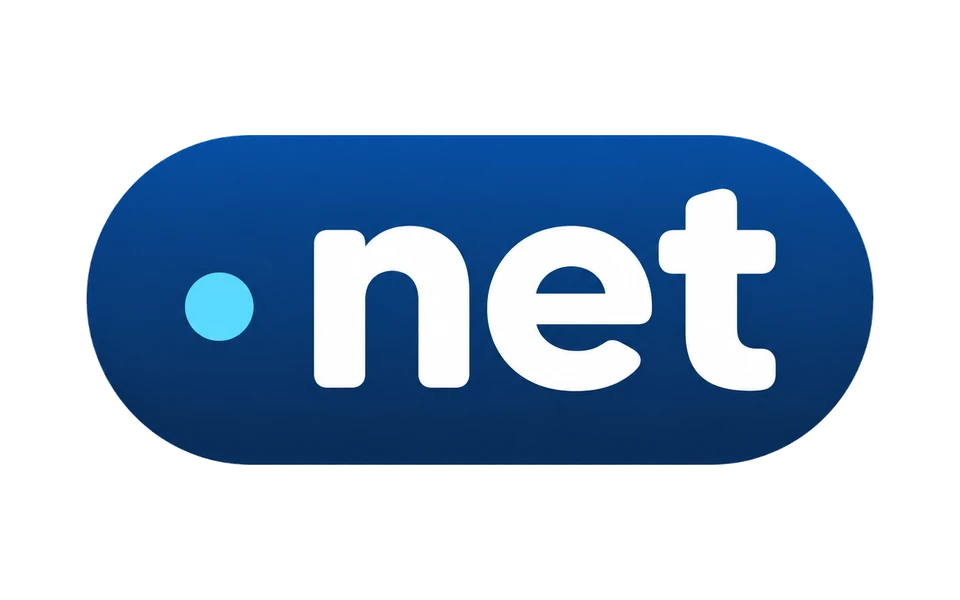 .net domain uzantısı